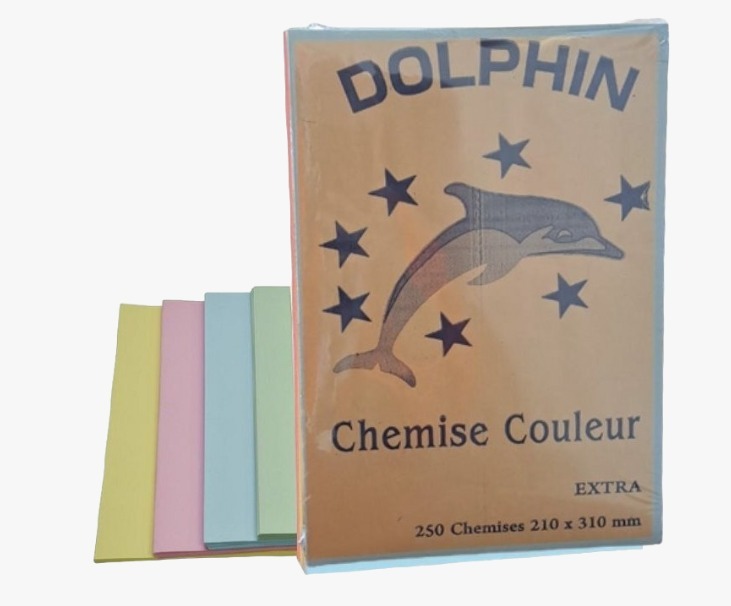 CHEMISE BULL COULEUR